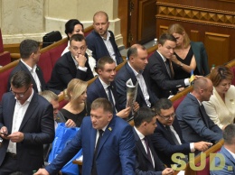 Парламент поддержал за основу законопроект о Службе внешней разведки