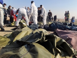 Иранцы забирали "на память" вещи с места катастрофы самолета МАУ - эксперт