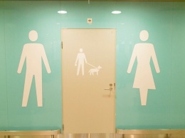 В аэропорту Хельсинки появились специальные туалеты для собак (фото)