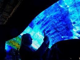 LG показала инсталляции из OLED-экранов