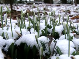 На зиму можно не рассчитывать: весна придет уже в феврале