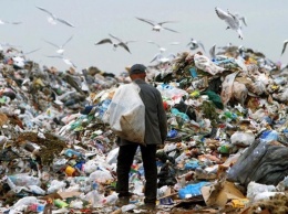 В Дрогобыче чиновник растратил миллион на фиктивном вывозе мусора