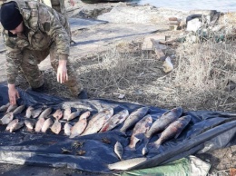 Сетки, рыба, лодки: рыбнадзор провел рейд по водоемам Днепропетровщины