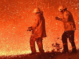 Страшные последствия пожаров в Австралии: еще одни масштабные потери