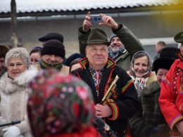 Москаль заявил, что саботировал реформы Порошенко на Закарпатье