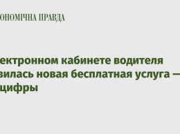 В Электронном кабинете водителя появилась новая бесплатная услуга - Минцифры