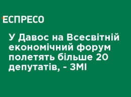 В Давос на Всемирный экономический форум полетят более 20 депутатов - СМИ