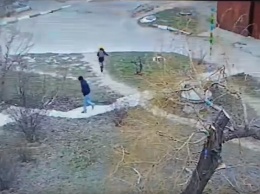 В Никополе полиция проверяет факт нападения на школьницу: видео