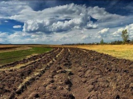 В Запорожской области участники АТО получили чуть более трех тысяч земельных участков