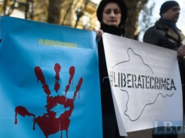 В прошлом году в Крыму зафиксировано 335 политических арестов, - член Меджлиса