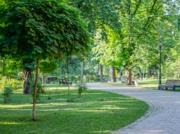В семи районах Киева появится 12 новых зеленых зон: адреса