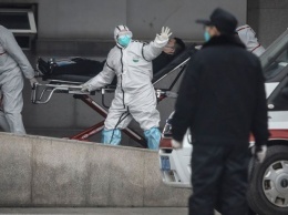 17 жертв, 550 инфицированных: в ВОЗ рассказали правду о страшном «китайском» вирусе