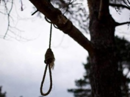В петле на дереве: в Запорожской области нашли труп пропавшего мужчины