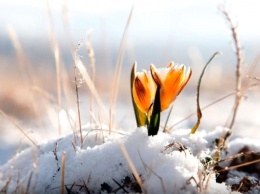 Ни мороза, ни снега, и ни малейшего намека на зиму! Погода в Украине на 24 января