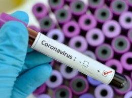 Коронавирус уже в Украине: ждать ли нам эпидемии?