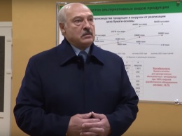 «Нас раком поставили»: Лукашенко жестко высказался об отношениях с Россией. Видео