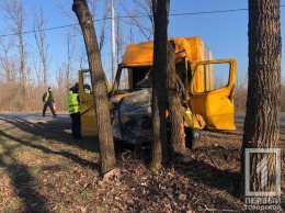 В Кривом Роге водитель грузовика влетел в дерево, - ФОТО