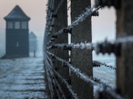 Рассказ бывшей узницы о медицинских опытах над детьми в Освенциме