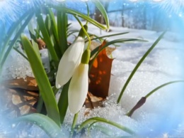 Январская весна: аномалия или результат мирового потепления! Погода в Украине на 26 января
