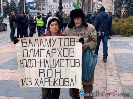 "За" и "Против" русского языка в Харькове вышли митинговать не более 200 человек