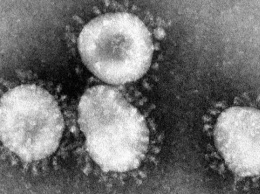 Минздрав обнародовал приказ о противодействии коронавирусу в Украине