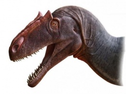 Ученые впервые описали одного из самых опасных хищных динозавров