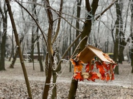 В парке Днепра появятся кормушки, созданные по эскизам школьников