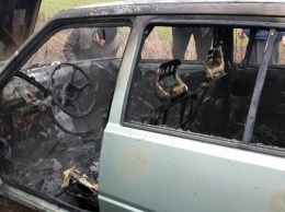 Пожар на трассе: огонь уничтожил автомобиль