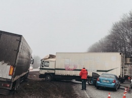 Под Днепром на Криворожской трассе столкнулись 7 машин: есть пострадавший