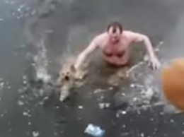 Астраханец бросился в ледяную воду ради спасения дворняги
