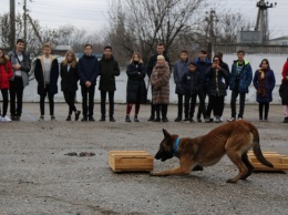 Четырехлапые «стражи порядка» продемонстрировали крымским школьникам свои способности