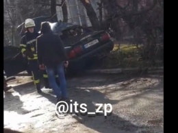 «Ауди» влетело в дерево, сбив насмерть пешехода в Запорожье