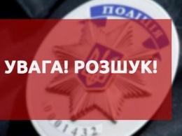 Экс-чиновница Администрации президента объявлена в розыск за нападение на адвоката (ИНФОГРАФИКА)