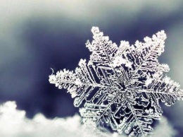 Жительница Запорожья нашла снег в необычном месте (ФОТО)