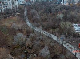 В Днепре в парке "Зеленый Гай" нашли человеческую кость и череп