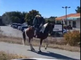 Забавное видео с танцующей лошадью стало хитом в сети