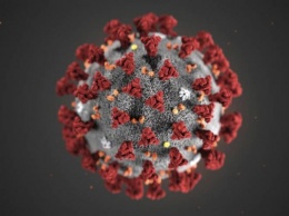 Японские ученые смогли изолировать коронавирус для разработки вакцины