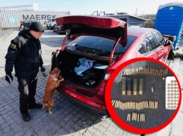 В одесском порту в машине из США нашли боеприпасы