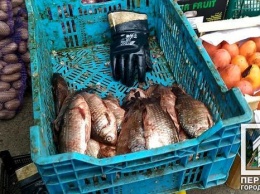 Под Днепром ликвидировали незаконные точки продажи рыбы