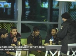 Под Львовом из рефрижератора, который ехал в Россию, достали четырех подростков-нелегалов в полубессознательном состоянии (ВИДЕО)