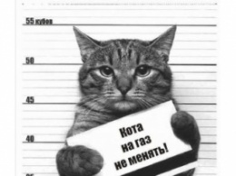 "Нафтогаз" просит жителей Мелитополя не продавать котов и собак, чтоб погасить долги за коммуналку