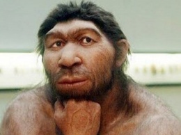Неандертальцы могли быть предками всех людей