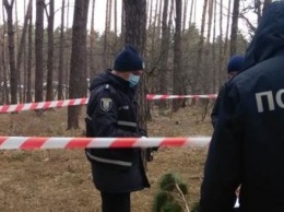 Как в кино. Выгуливая собаку жительница Запорожской области обнаружила мертвеца (ФОТО)
