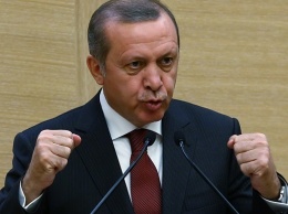 Эрдоган: Турция не будет ссорится с РФ из-за Сирии