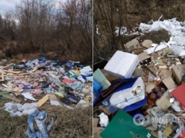 "Рога бы поотбивать!" Фото заваленной мусором столицы потрясли киевлян