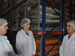 На молокоперерабатывающем предприятии Джанкойского района стартовал нацпроект «Производительность труда и поддержка занятости»