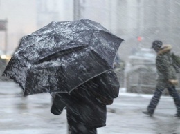 Запорожскую область накрыл циклон Petra: жителей предупреждают о гололеде, сильном ветре и метели