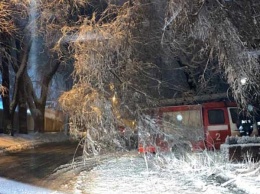 Непогода в Днепре: повалены деревья, обесточены дома