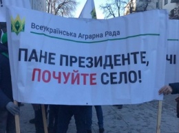 "Требуем диалога!": под ОП сотни людей требуют внести правки в земельную реформу (ФОТО)