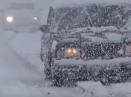 Разгул снежной стихии: в городе массово падают деревья, разбиты авто, дороги перекрыты